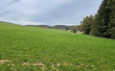 Solarpark Kirchhaslach-Greimeltshofen I